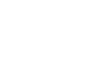 autobiz